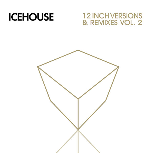 12 Inch Versions & Remixes - Vol. 2