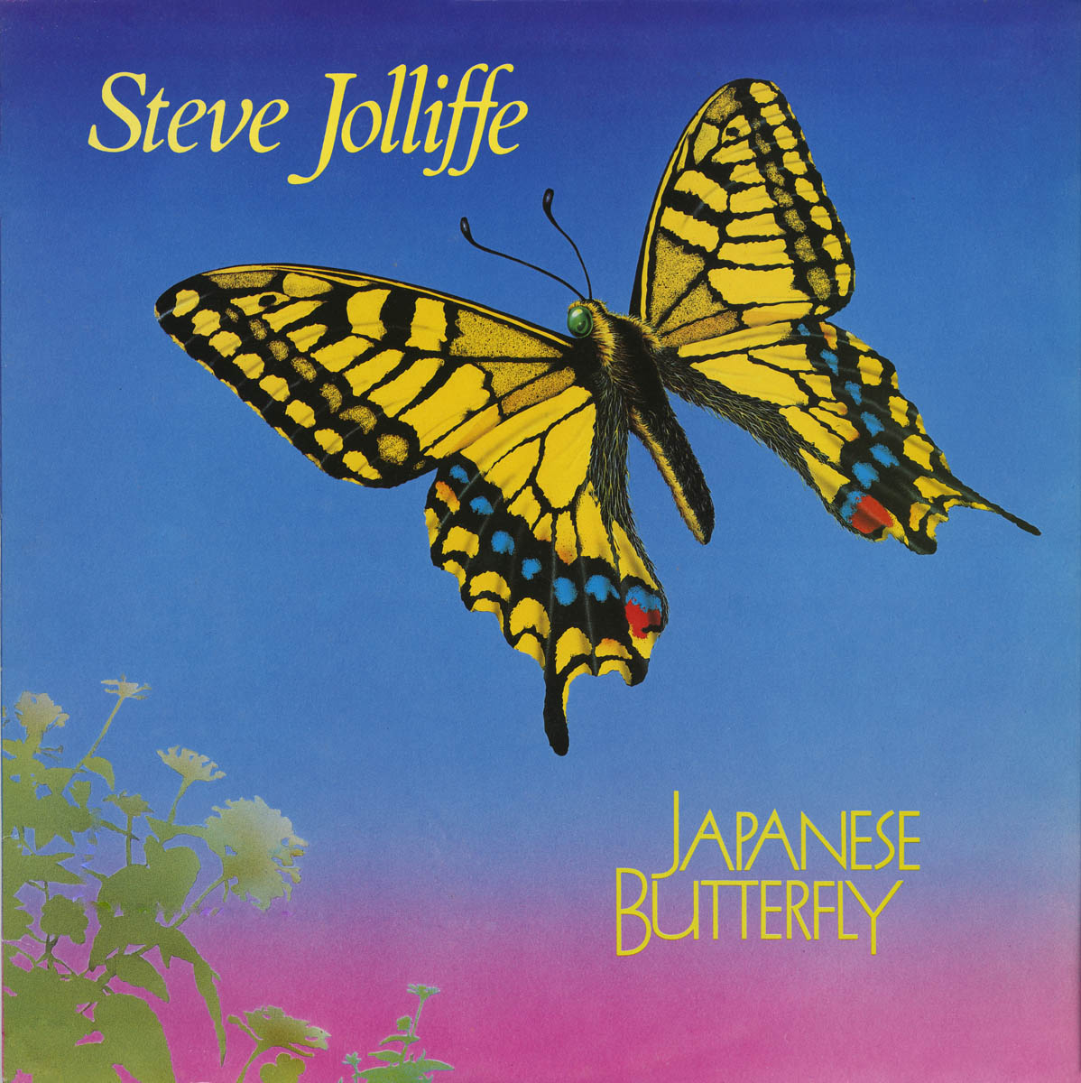 Steve Jolliffe – Japanese Butterfly